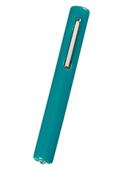 Penlight - Standard Disposable (200)